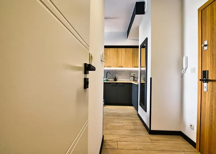 Timi By Housine * Zator